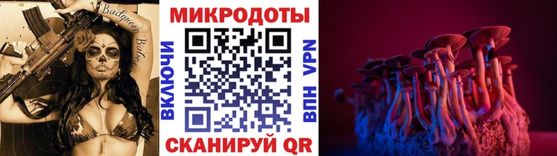 сколько стоит  Томск  Псилоцибиновые грибы Psilocybe 