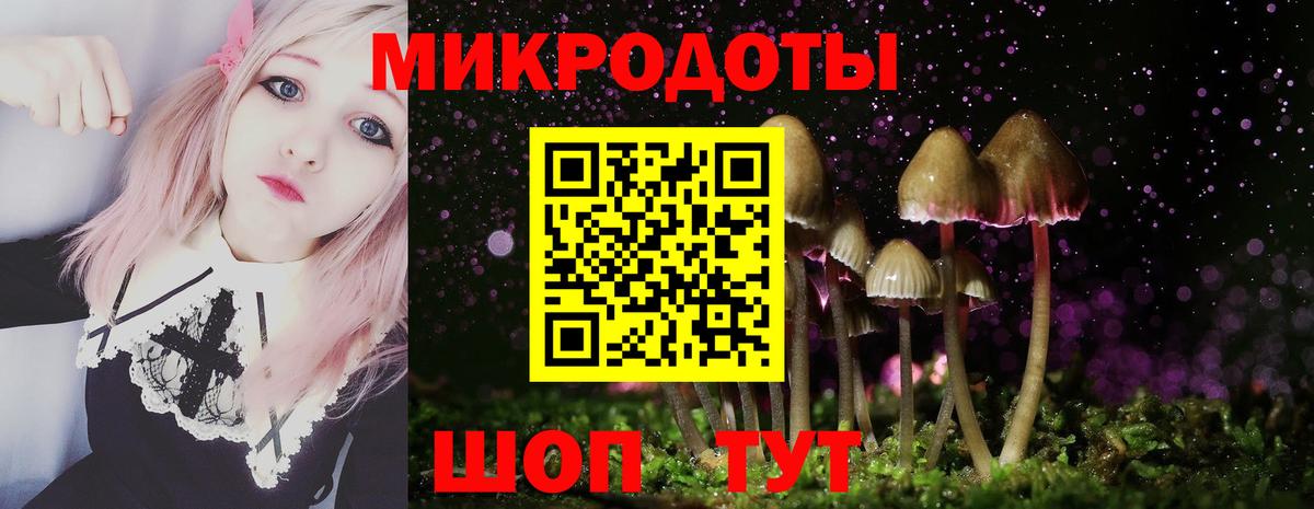 Псилоцибиновые грибы Cubensis Томск