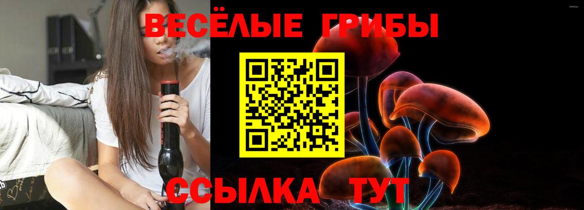 Томск  Галлюциногенные грибы Magic Shrooms  Вход с VPN 